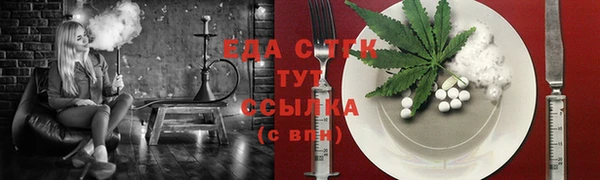 дмт Ельня