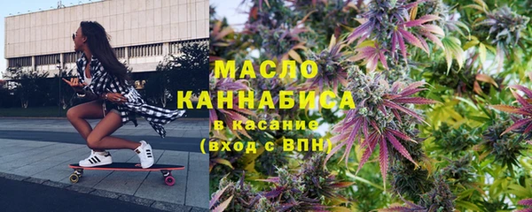 дмт Ельня