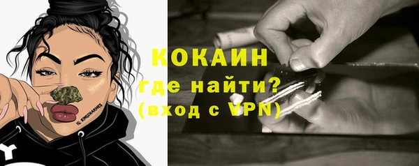 ALPHA PVP Елизово