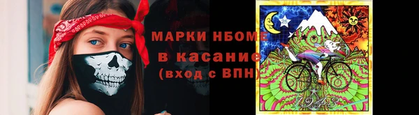 дмт Ельня