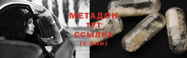 дмт Ельня