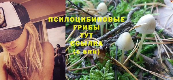прущий лед Заволжье
