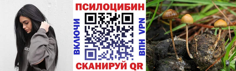 Галлюциногенные грибы Magic Shrooms  Заринск 